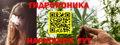 стафф Волгодонск